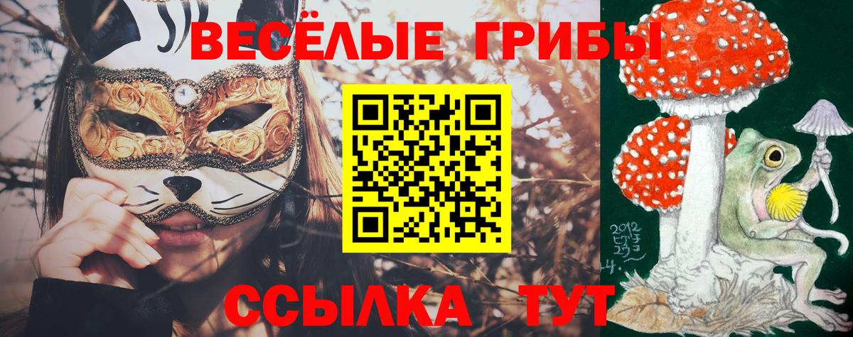 Галлюциногенные грибы прущие грибы Менделеевск