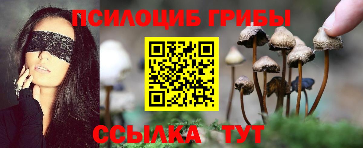 Менделеевск  Псилоцибиновые грибы мухоморы  Вход с VPN  Псилоцибиновые грибы MAGIC MUSHROOMS 